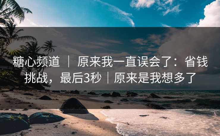 糖心频道 ｜ 原来我一直误会了：省钱挑战，最后3秒｜原来是我想多了