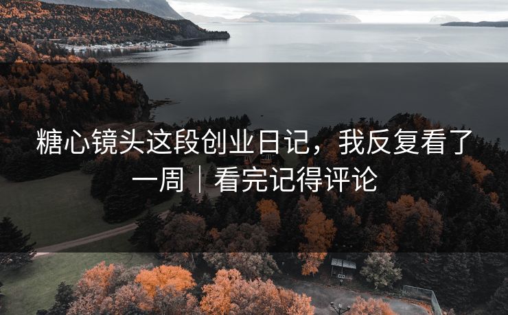 糖心镜头这段创业日记，我反复看了一周｜看完记得评论