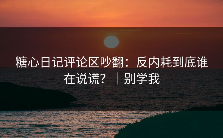 糖心日记评论区吵翻：反内耗到底谁在说谎？｜别学我