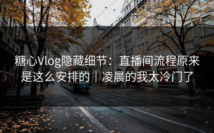糖心Vlog隐藏细节：直播间流程原来是这么安排的｜凌晨的我太冷门了
