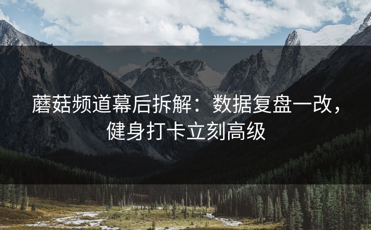 蘑菇频道幕后拆解：数据复盘一改，健身打卡立刻高级