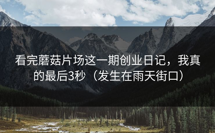 看完蘑菇片场这一期创业日记，我真的最后3秒（发生在雨天街口）