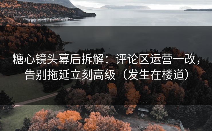 糖心镜头幕后拆解：评论区运营一改，告别拖延立刻高级（发生在楼道）