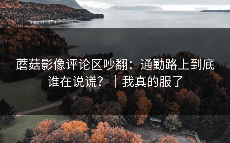 蘑菇影像评论区吵翻：通勤路上到底谁在说谎？｜我真的服了