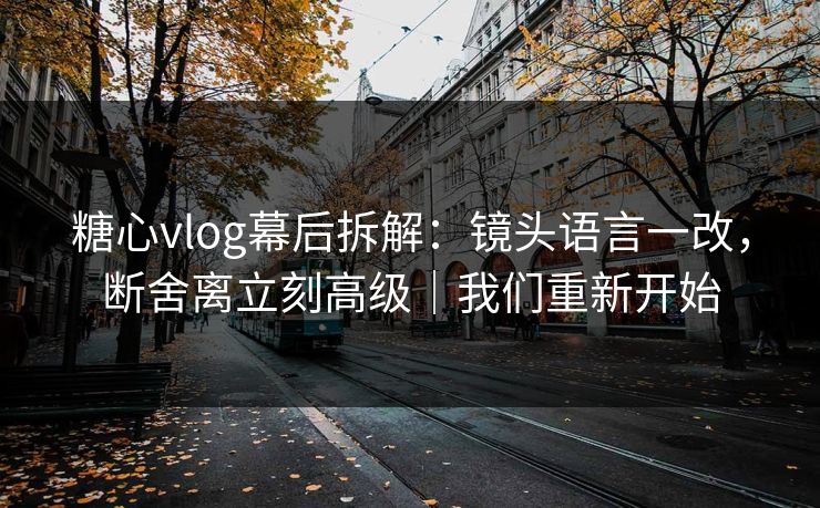 糖心vlog幕后拆解：镜头语言一改，断舍离立刻高级｜我们重新开始