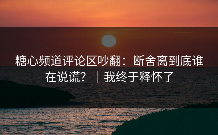 糖心频道评论区吵翻：断舍离到底谁在说谎？｜我终于释怀了
