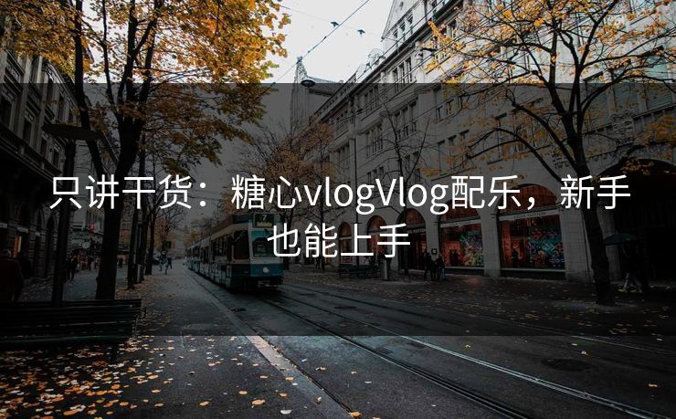 只讲干货：糖心vlogVlog配乐，新手也能上手